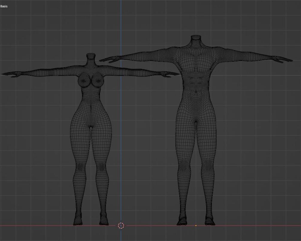 Male & Female Body Base - 3D Asset