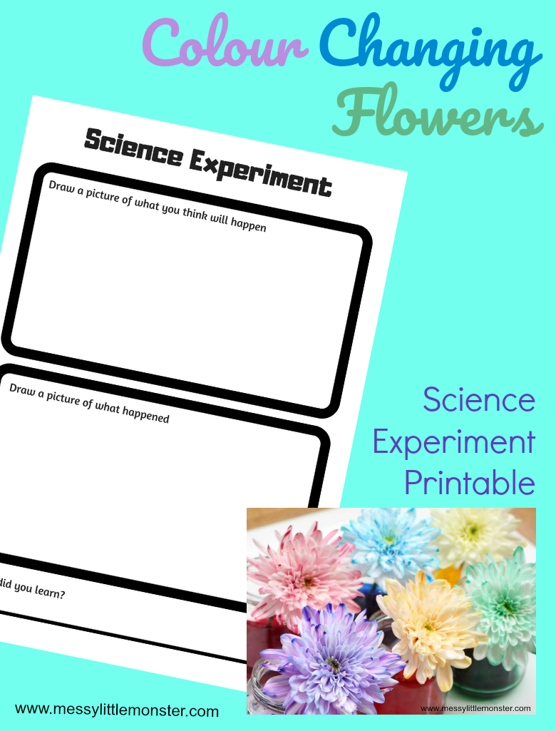 science-experiment-worksheet