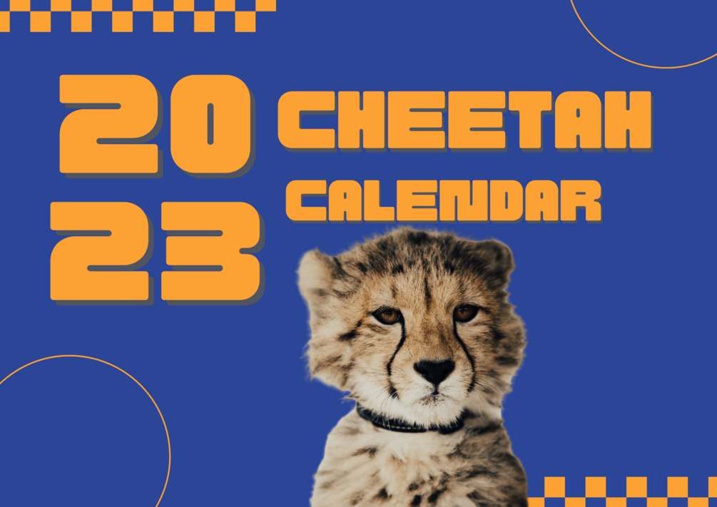 New Cheetahs Calendar 2023