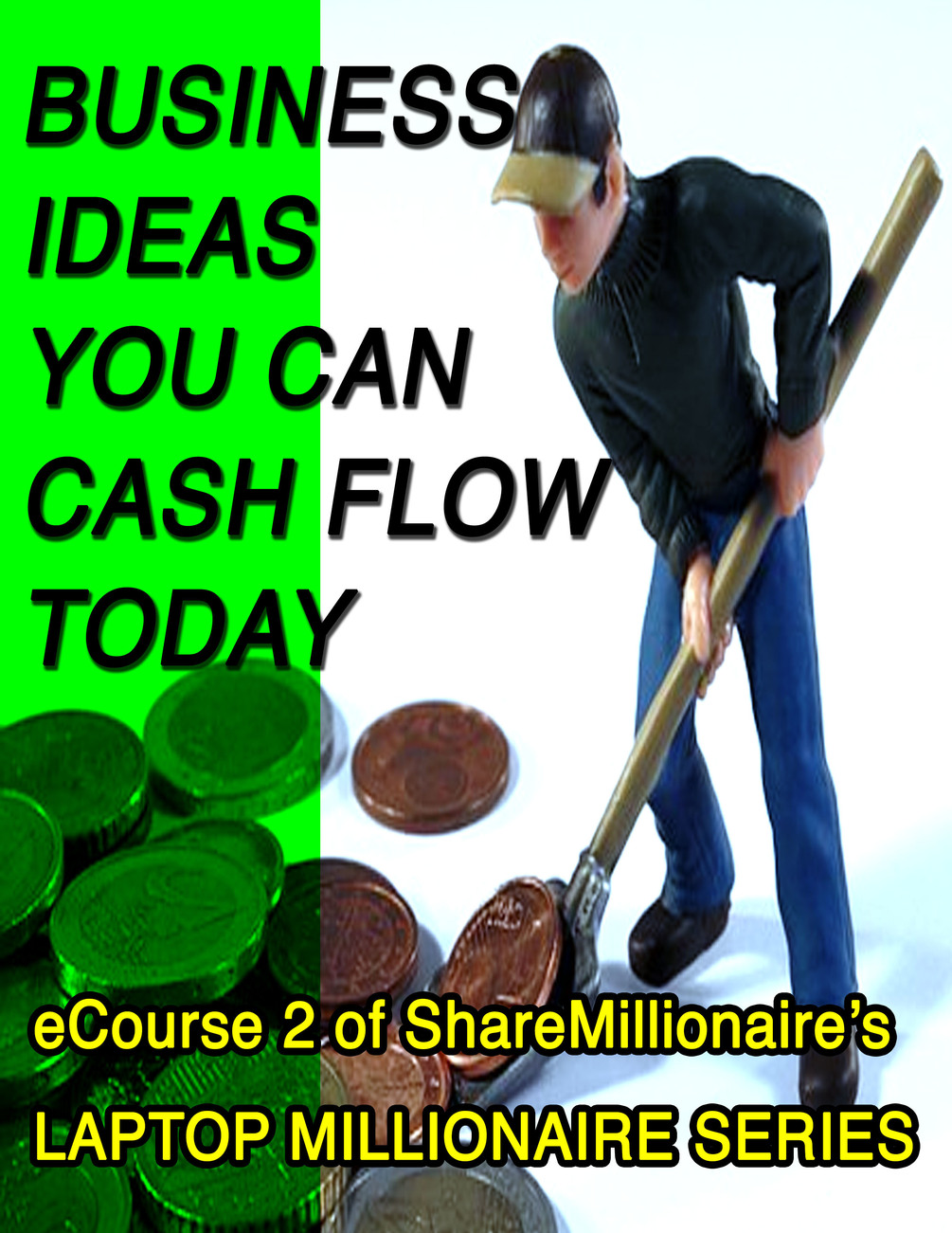 eCourse 2 of the Laptop Millionaire Series Business Ideas You Can Cash Flow Today