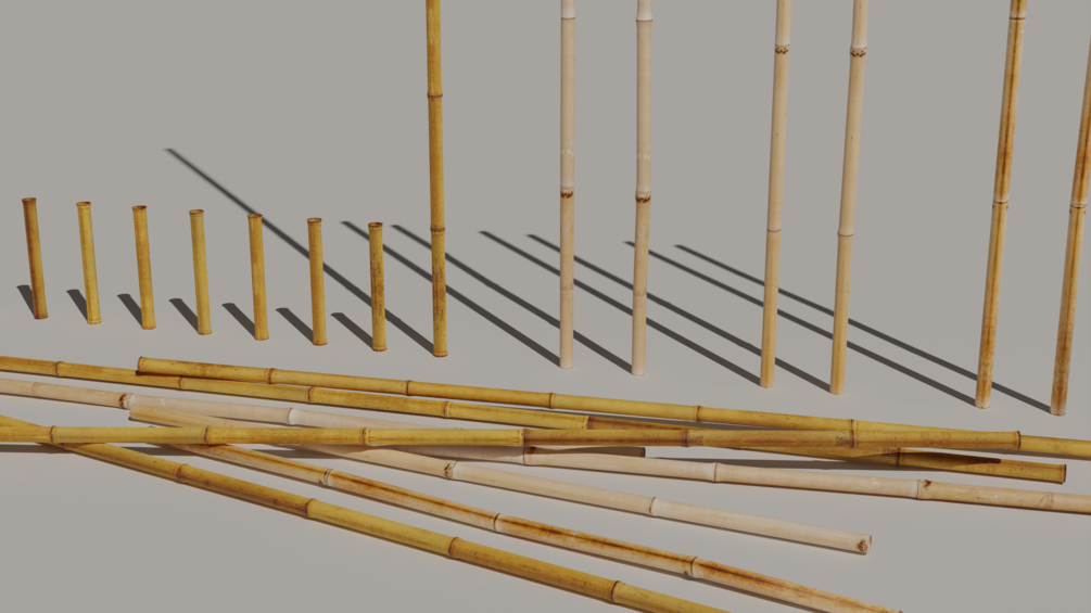 Bamboo 3d Model 