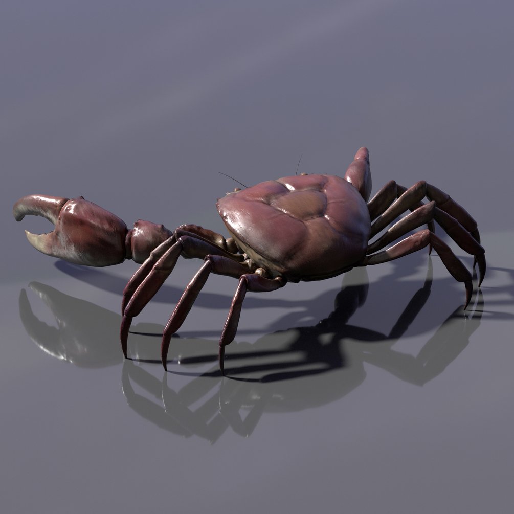 Freshwater Crab Maya Rig