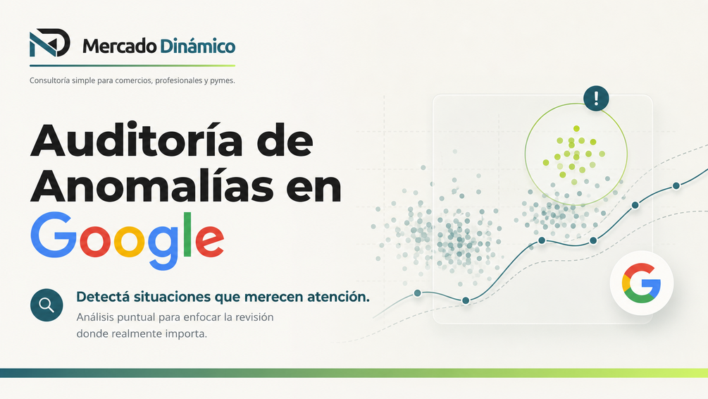 Auditoría de Anomalías en Google
