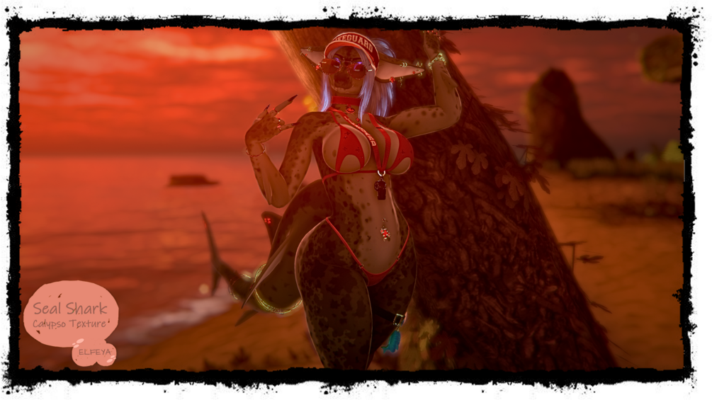 Seal Shark Calypso Textures