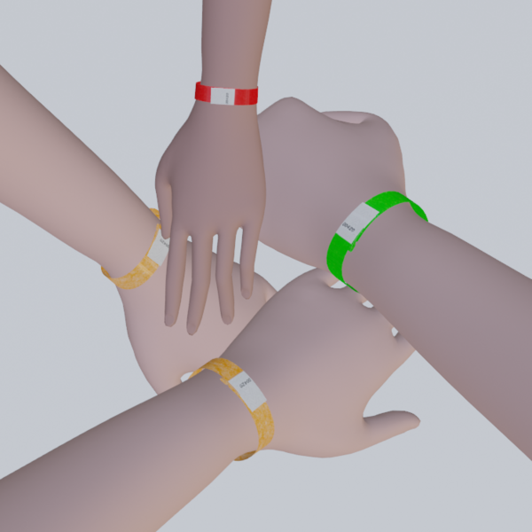Paper Admission Bracelet
