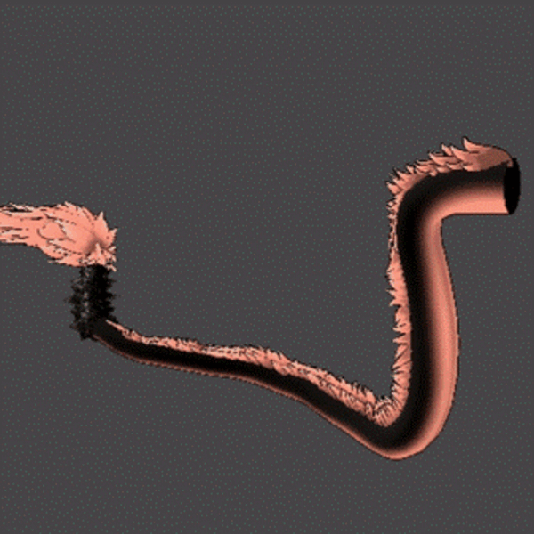 Fluffy Dragon Tail