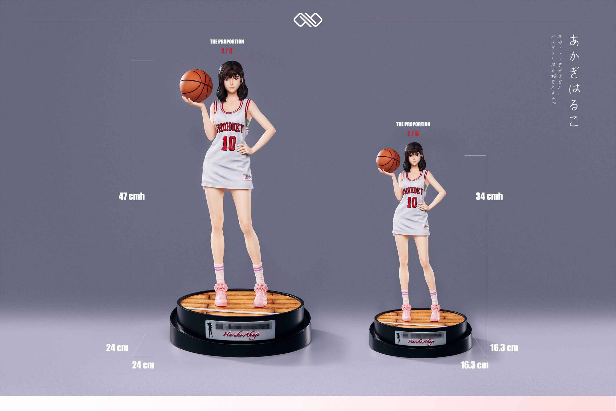 infinite-studio-akagi-haruko-slam-dunk