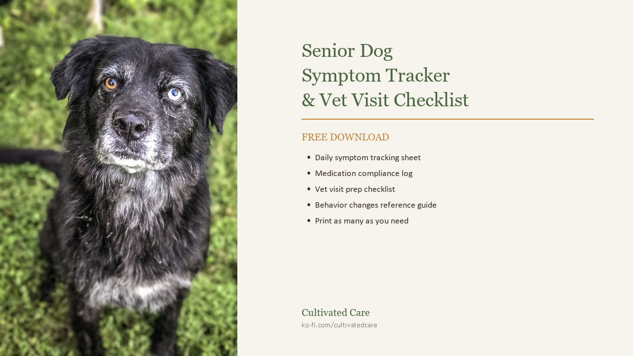 Senior Dog Symptom Tracker