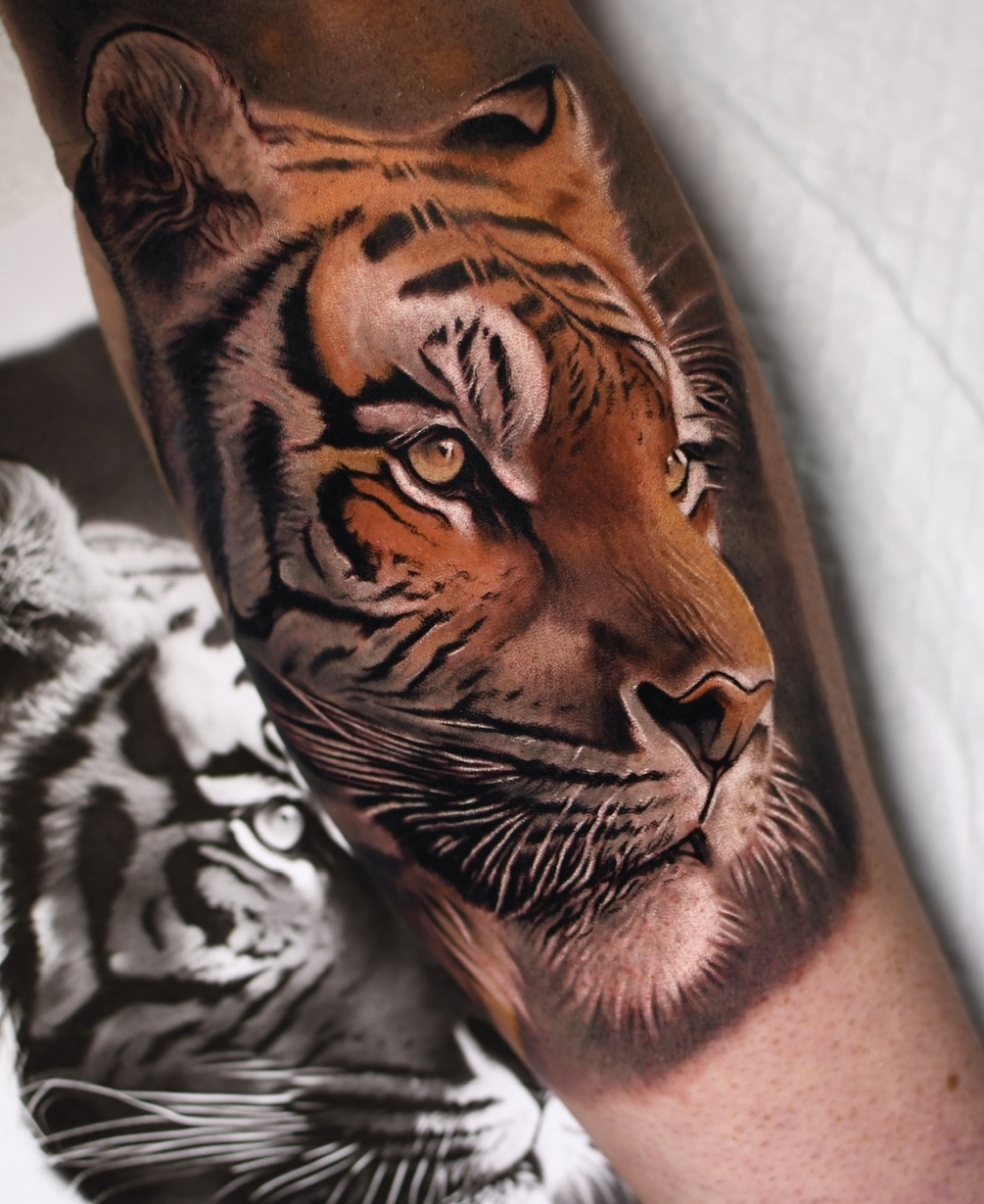 Tiger - Color Tattoo Realism