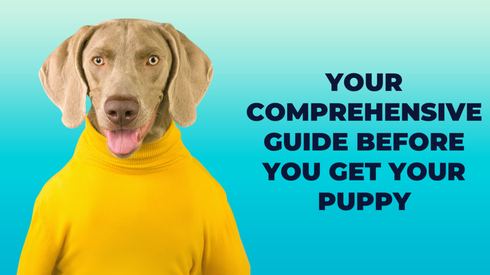 Your Comprehensive Guide BEFORE You Get Your Puppy