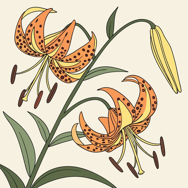 The Family Habitat: A Field Guide to Support Neurodiversity