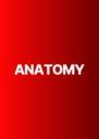 Gumroad profile picture for @anatomy