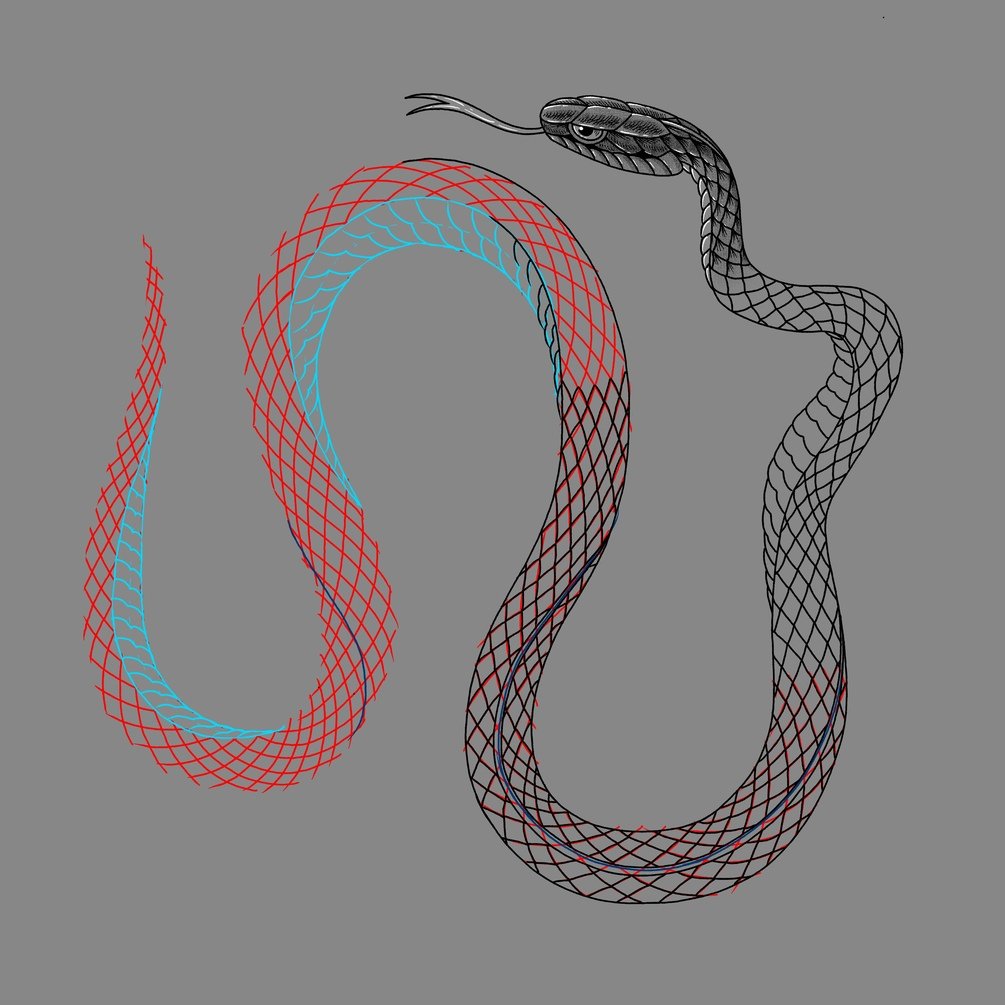 Snake scale brush for Procreate