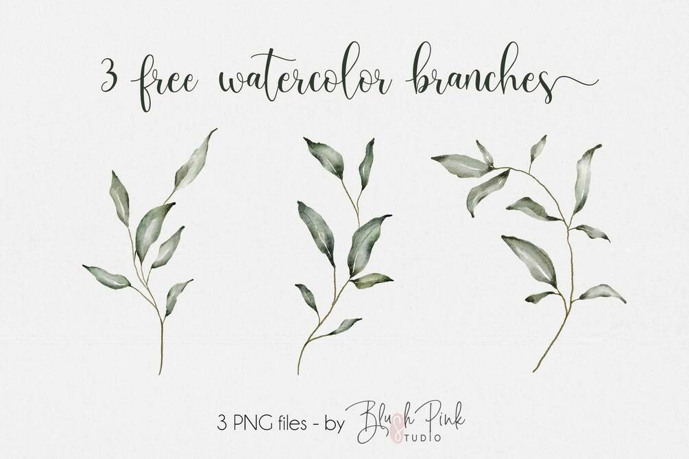 Free 3 watercolor branches