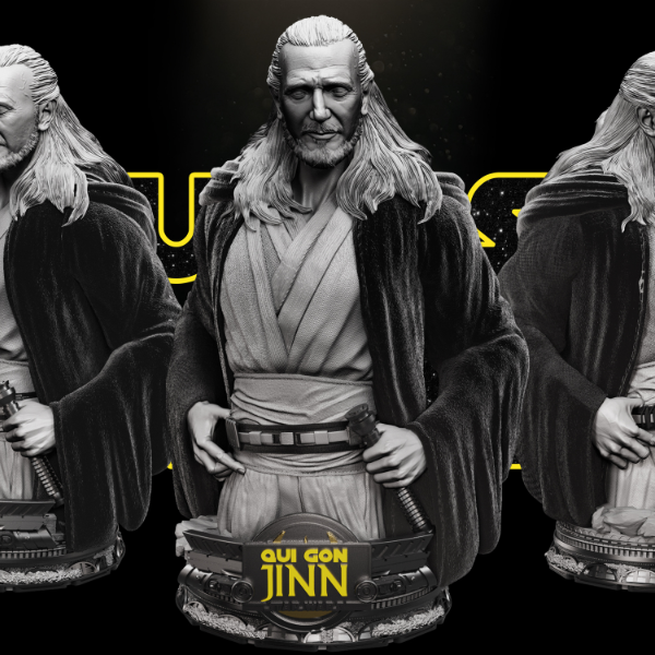 Quin-Gon Jinn Bust - Star Wars 3D Models - Tested and Ready for 3D printing