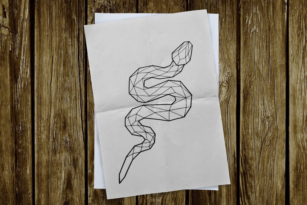 snake geometry