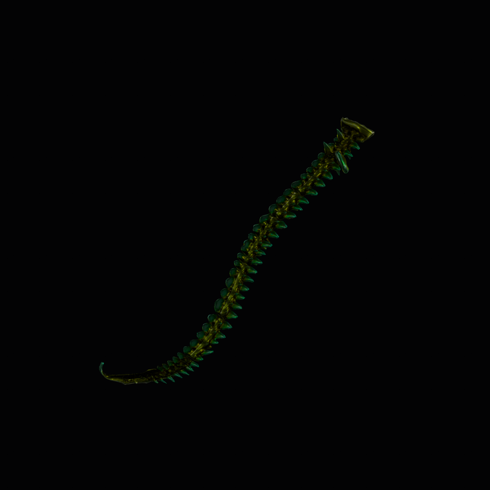 Cauda Noir Green spinal tail