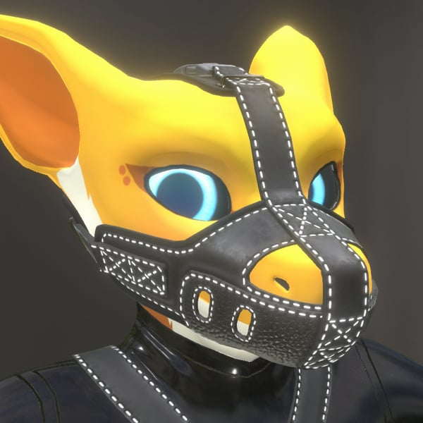 Kobodal Leather Muzzle & Blindfold