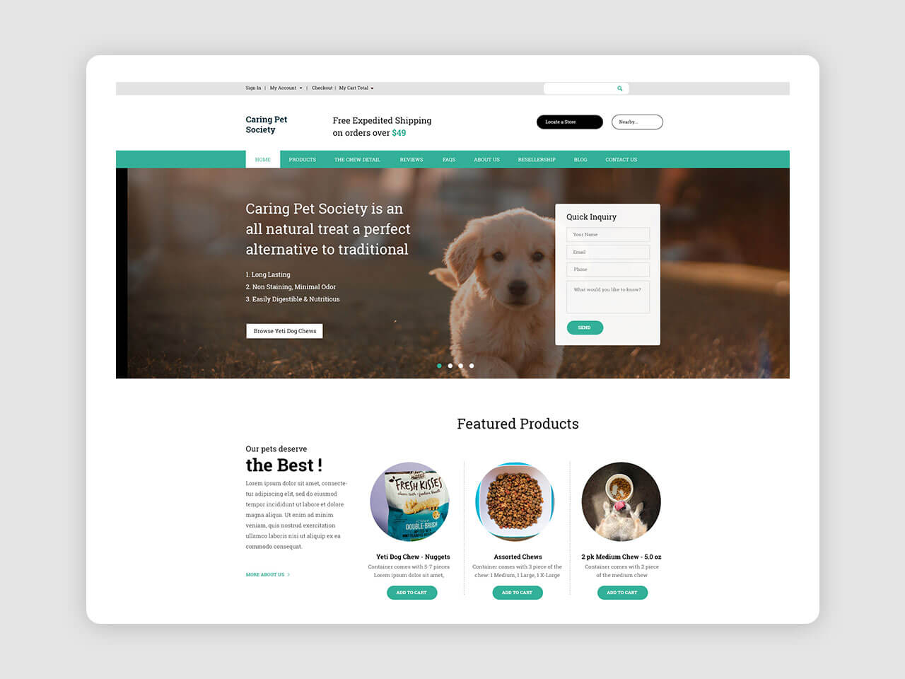 Caring Pet Society – Animal Care PSD Template
