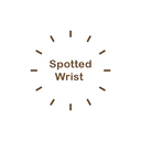 Gumroad profile picture for @spotted