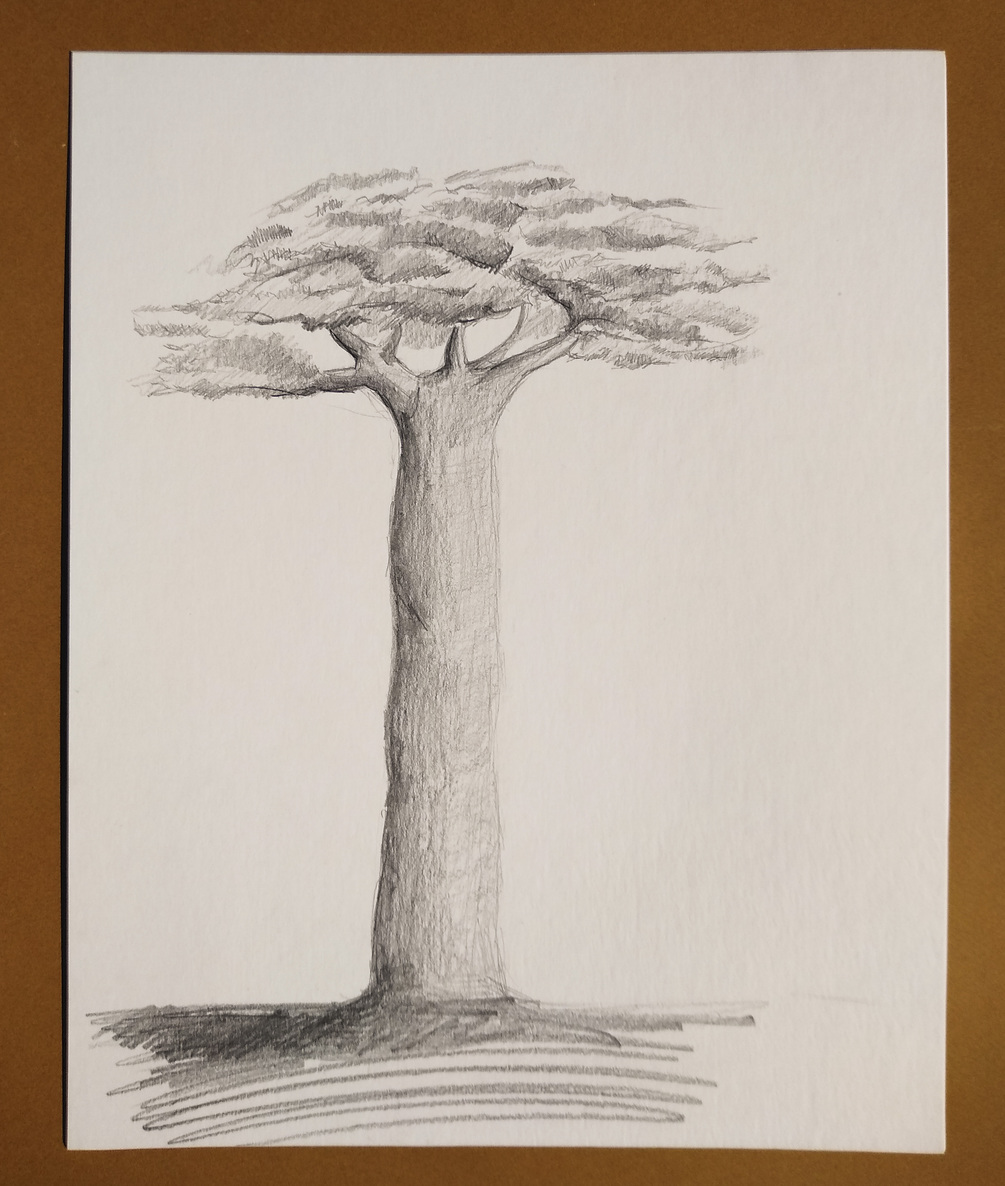 Tree graphite drawing