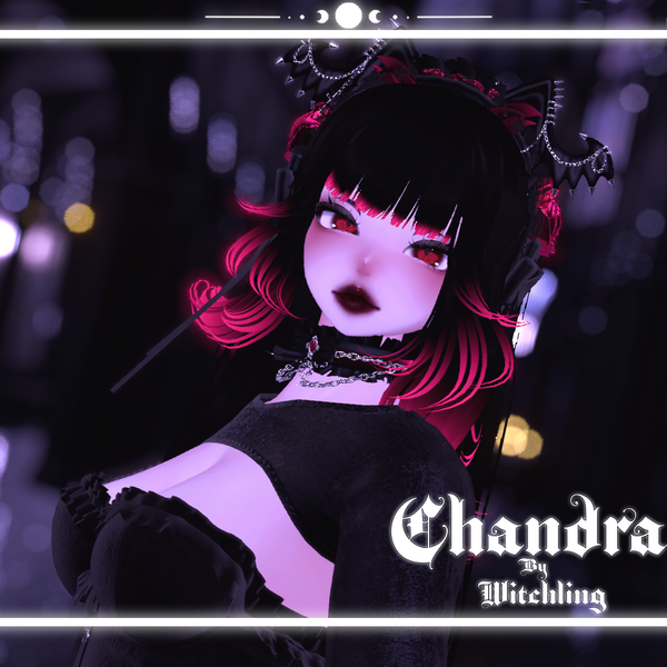 [PC] Chandra the Vampire Cat