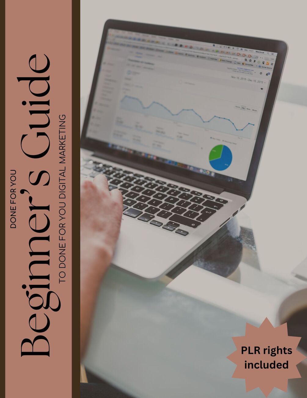Free beginner s guide to dfy digital marketing plr