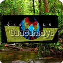 Gumroad profile picture for @guacamayo