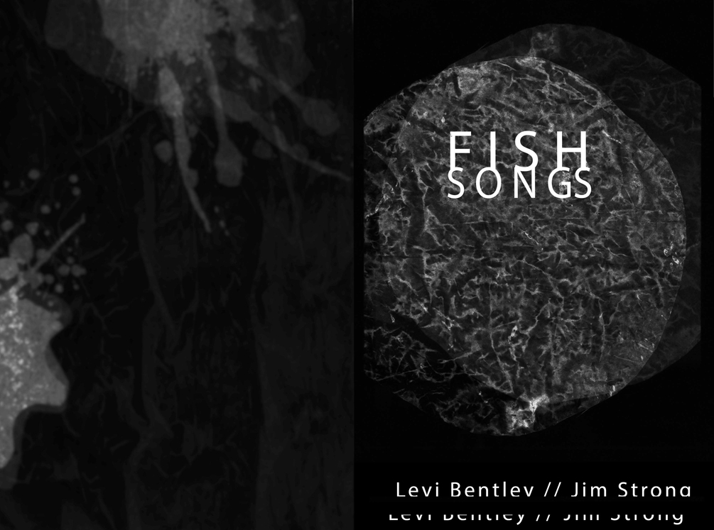 Fish Songs