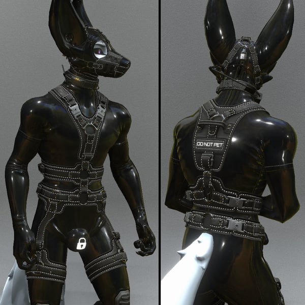 Alber Coyote Mk.2 Leather Harness