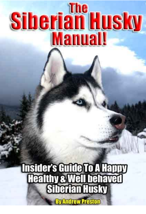 Сибирский хаски в доме. Хаски инструкция. Обложка книги белый клык джек лондон. Сколько весит щенок хаски в 2 месяца таблица. Сообщение о породе собак хаски.