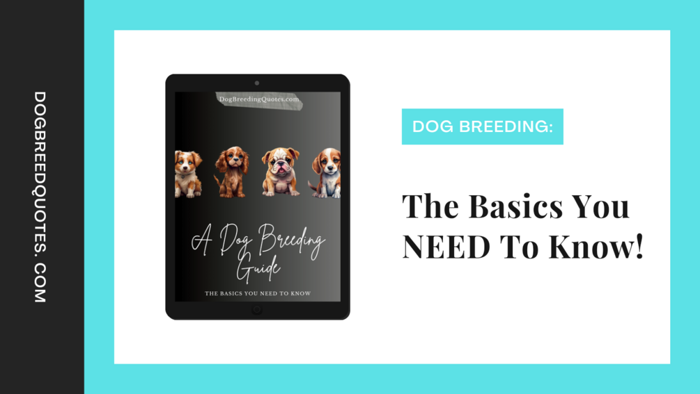 A Dog Breeding Guide The Basics You Need To Know!