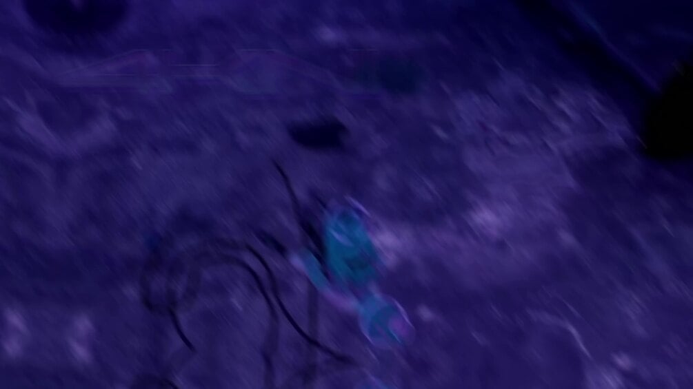 ✘4KNI the cyber candy fox✘ (UPDATED!!!)( PC/QUEST) preview 1