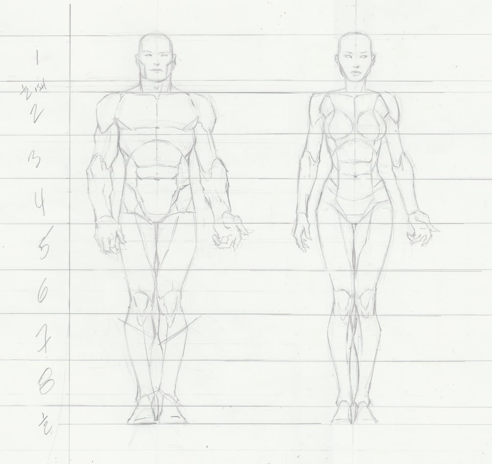 Anatomy of female drawing reference