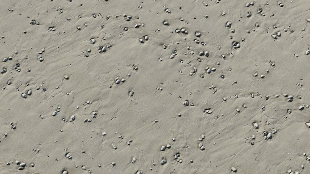 Beach Sand PBR Texture