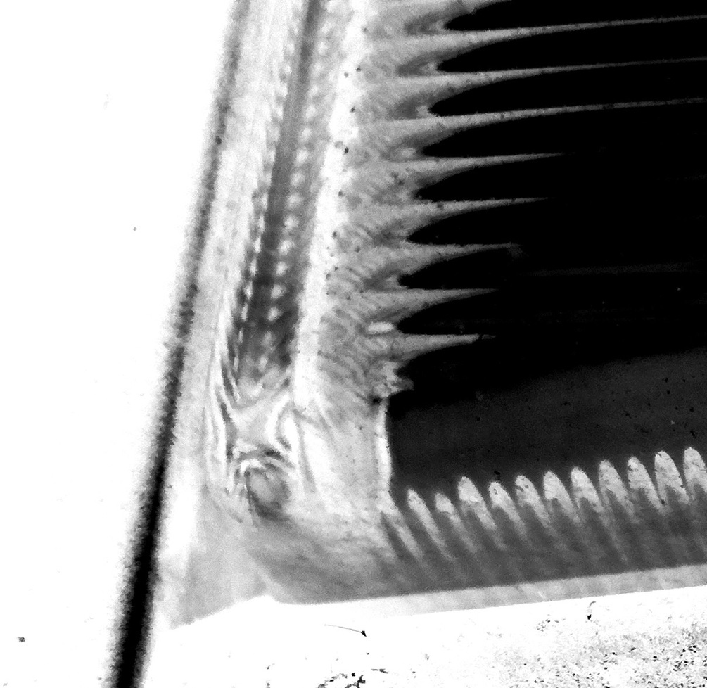 art-print-unorganic-material-64