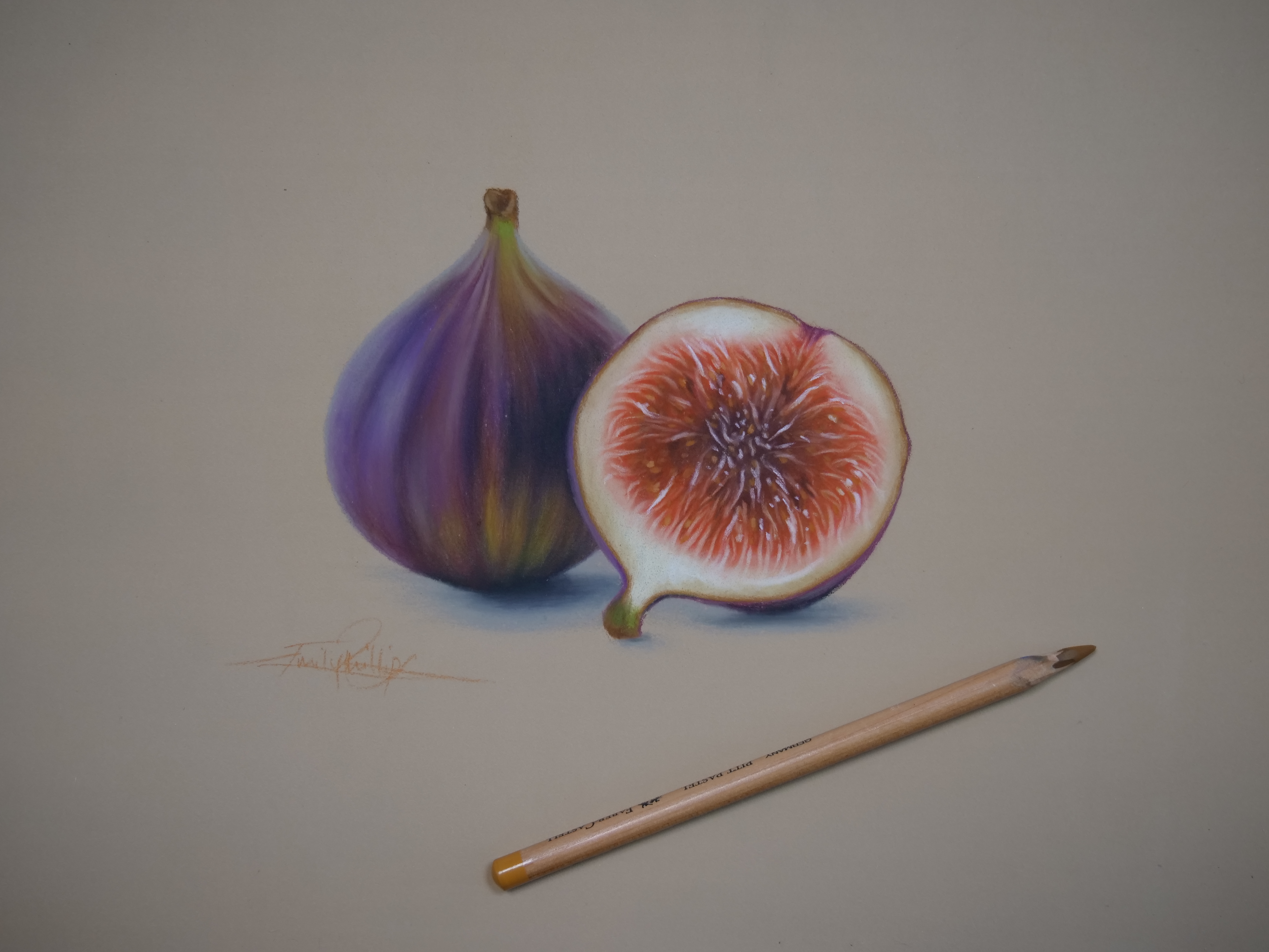 How to Draw Still Life for Beginners Figs in Pastel Pencil
