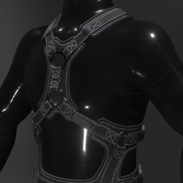 JW Male Canine Leather Harness