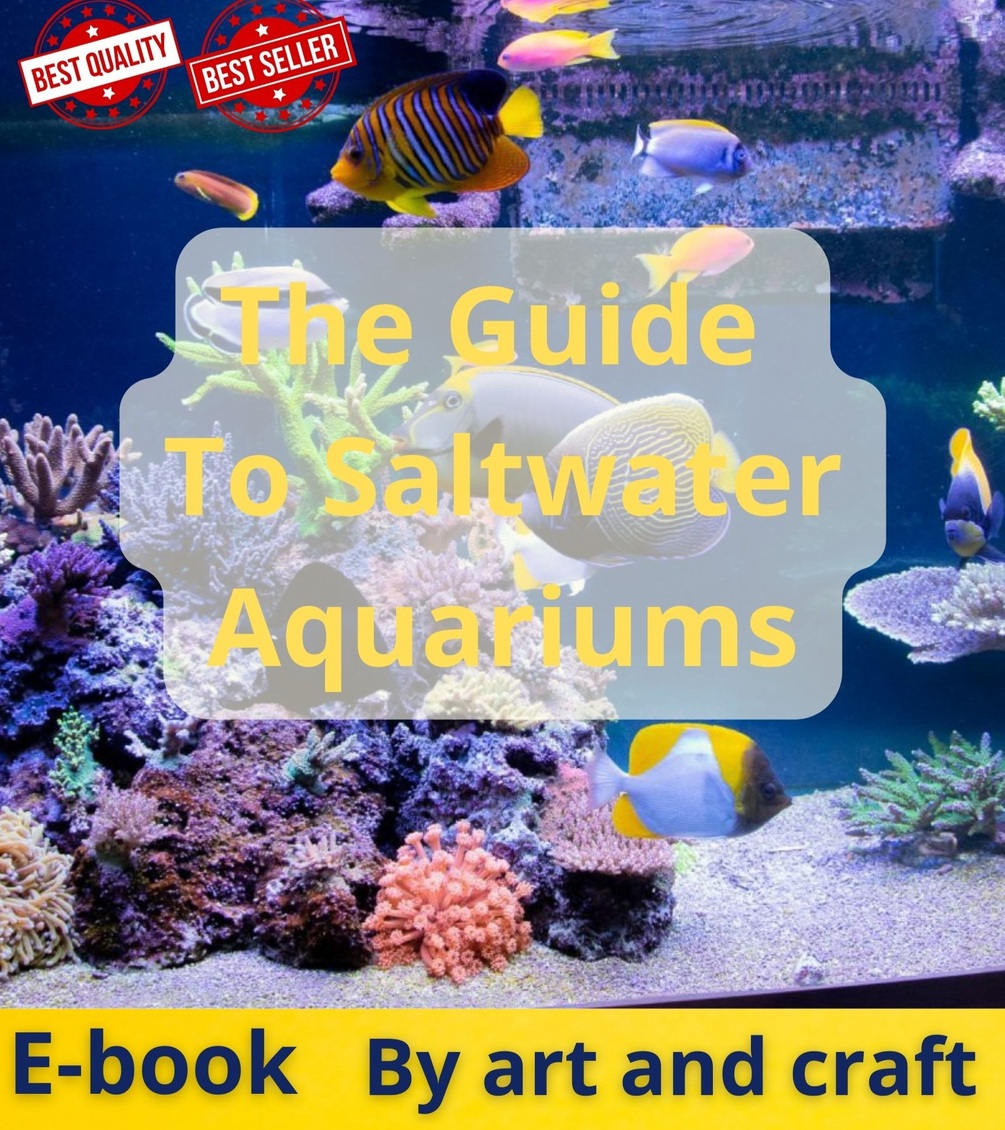 The Guide To Saltwater Aquariums EBOOK PDF