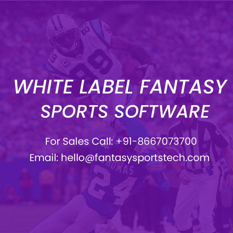 Fantasy Sports App Development Company