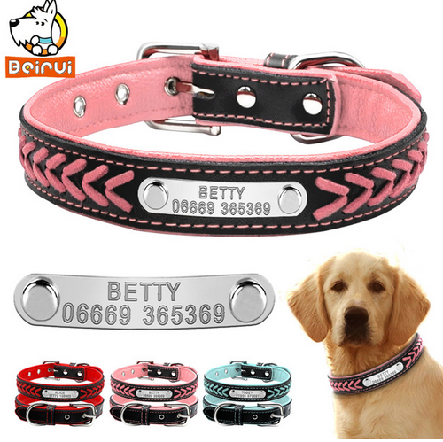 personalisiertes halsband Personalisiertes Hundehalsband 