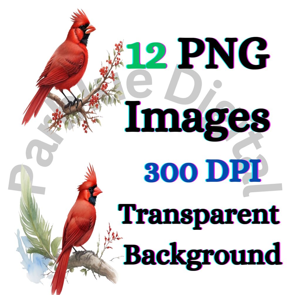 red-bird-clip-art-with-transparent-background-digital-download