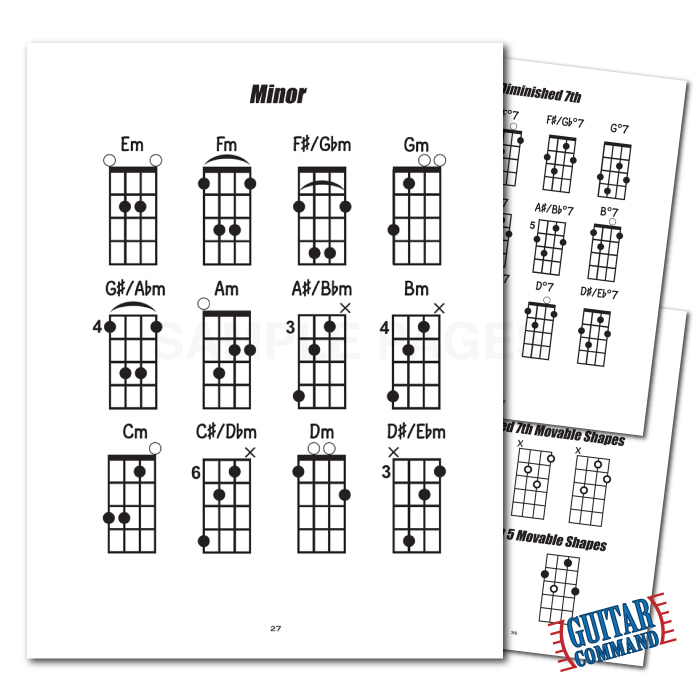 Bass Scales, Chords & Arpeggios