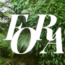 Gumroad profile picture for @fora