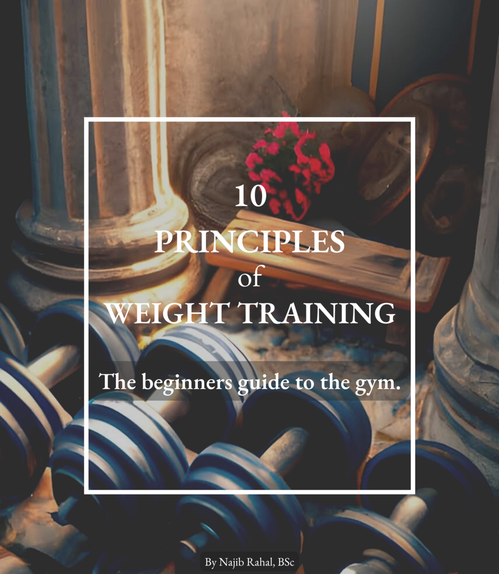 The Beginner's Guide to Weight Training