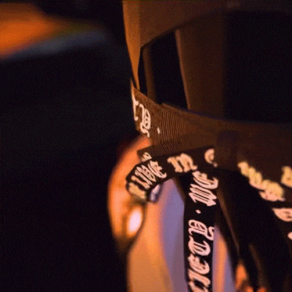 Vail VRChat Model (Updated* now includes optimized version) by Artist Gallery