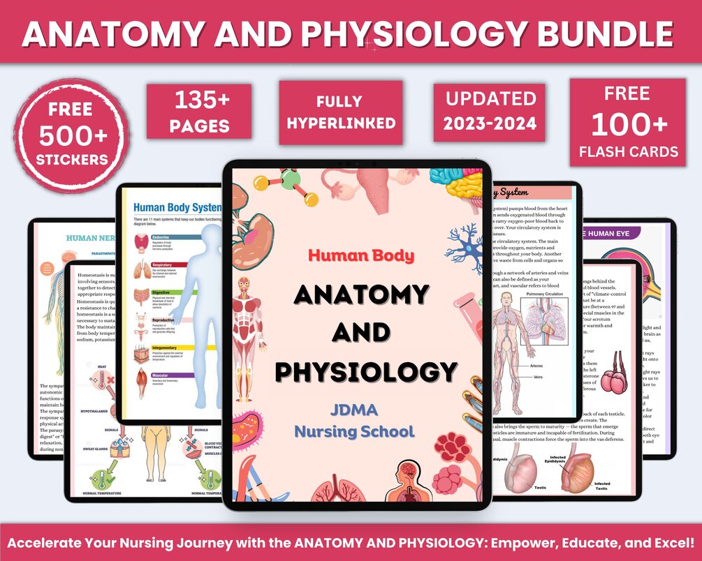 Anatomy & Physiology Bundle with Flashcards and Stickers