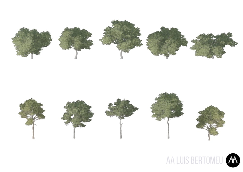 10 HQ AXONOMETRIC TREES in PNG