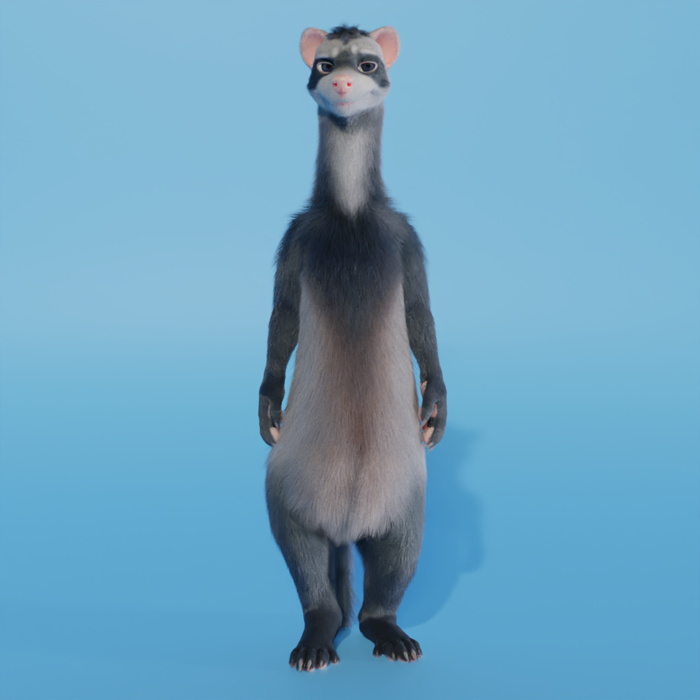 Ferret 3d model