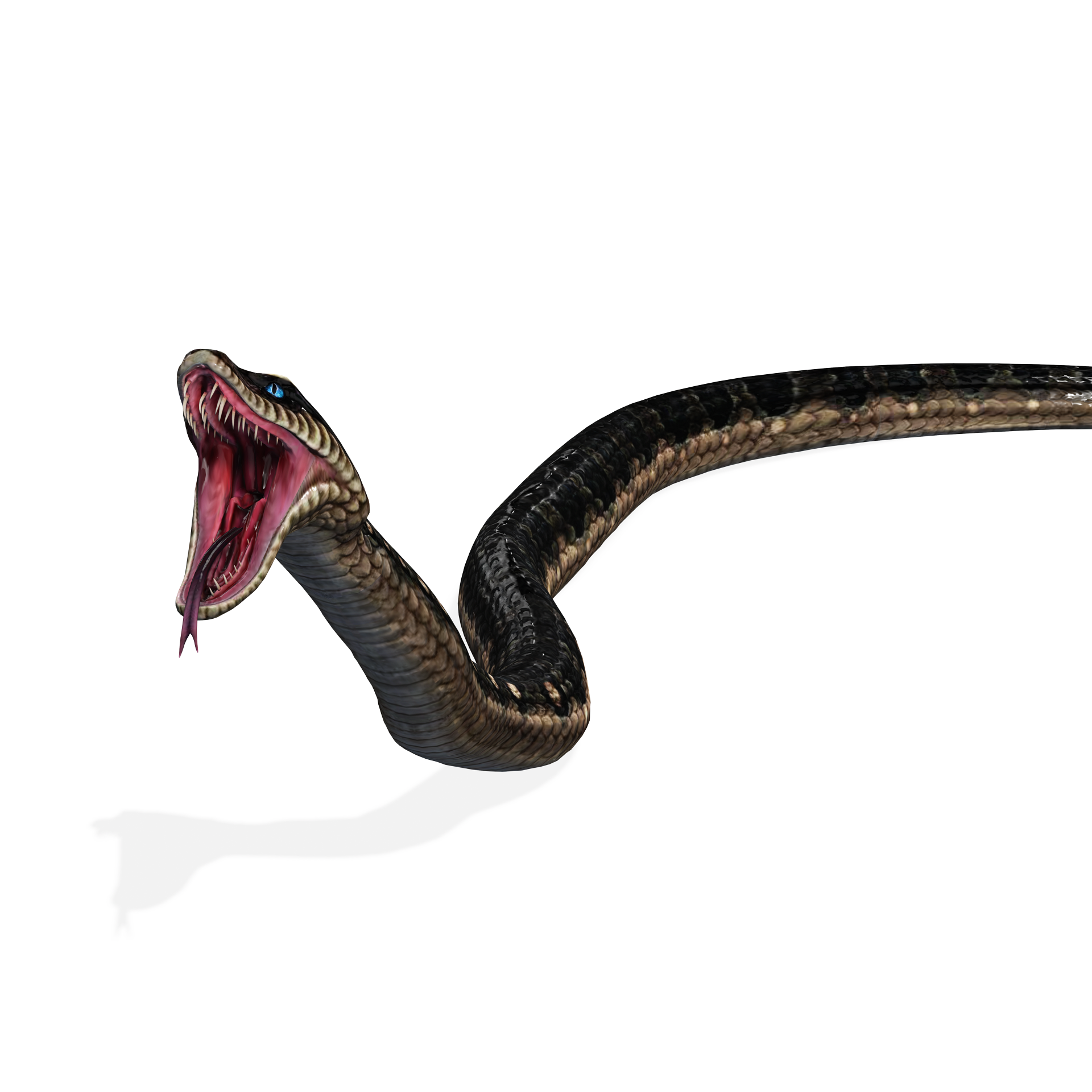 DOWNLOAD VIPER 3D MODEL DINOSAUR MYTHOLOGICAL FIHS PYTHON 